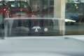 Ford Focus TURNIER ST-Line X *AHK Navi Kamera SHZ* Blau - thumbnail 19