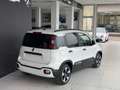 Fiat Panda 1.0 firefly hybrid Cross s&s 70cv 5p.ti Blanc - thumbnail 6