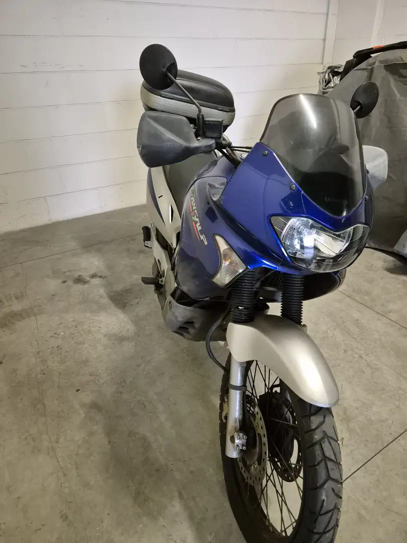Honda XL 650 Transalp Blu/Azzurro - 2