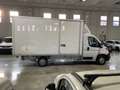 Peugeot Boxer Peugeot Boxer Furgone con rialzato 2.2 Blue HDI P Bianco - thumbnail 4
