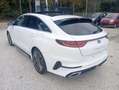 Kia ProCeed / pro_cee'd 1.6 crdi GT- LINE 136 Bianco - thumbnail 11