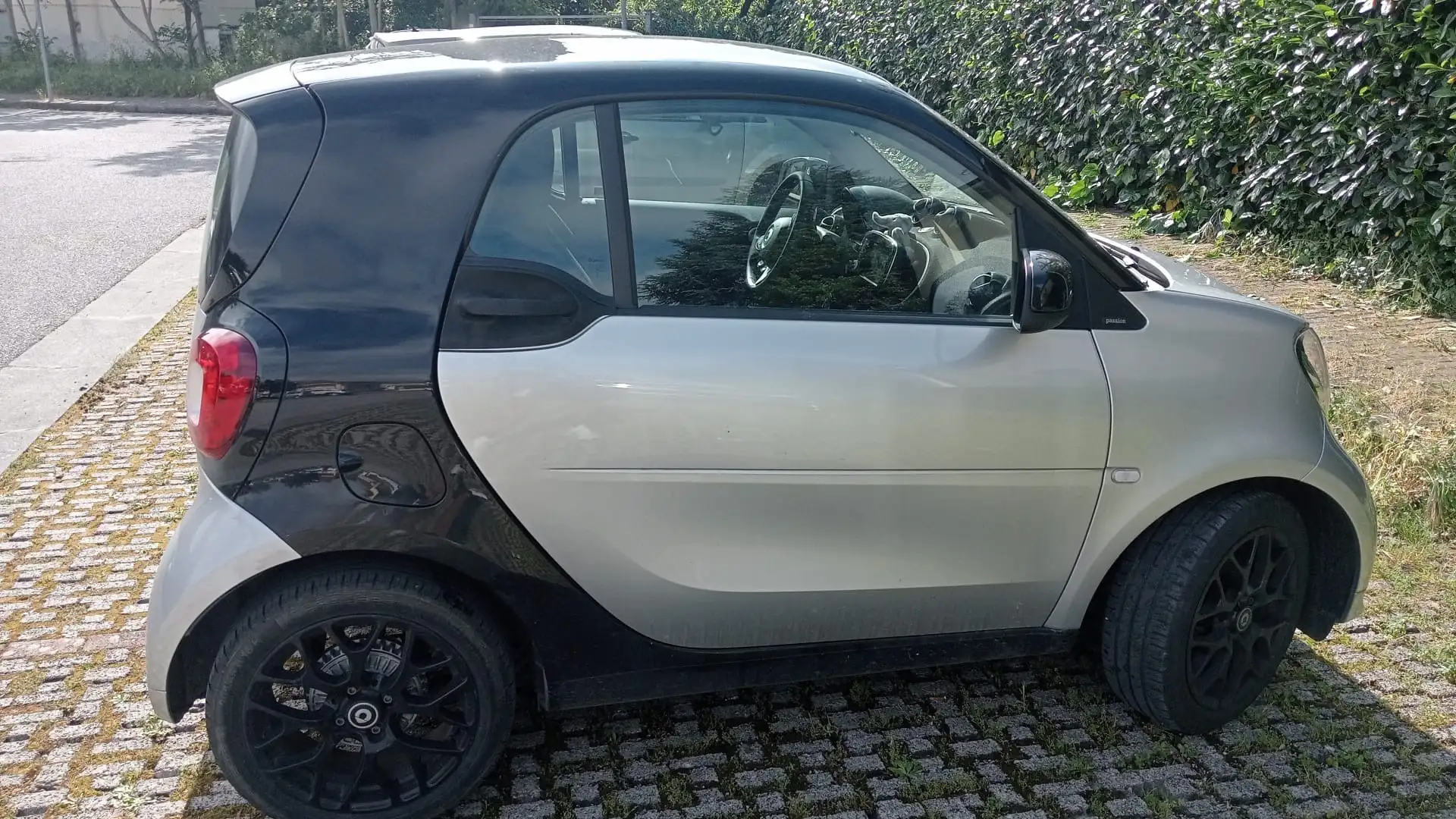 smart passion - 2