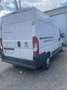 Fiat Ducato 2,3l Multijet 130ps - thumbnail 3