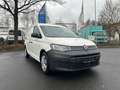 Volkswagen Caddy Cargo Basis Maxi*TüvNEU*NEUWAGENZUSTAND* Blanco - thumbnail 1