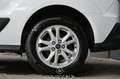 Ford Transit Connect 1.5 EcoBlue Active L1  Pickerl NEU Weiß - thumbnail 8