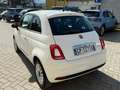 Fiat 500 500 1.0 hybrid Cult 70cv km 28000!!! Bianco - thumbnail 4