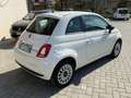 Fiat 500 500 1.0 hybrid Cult 70cv km 28000!!! Bianco - thumbnail 6