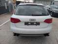 Audi A4 Avant Ambiente Steuerkette neu Blanc - thumbnail 8
