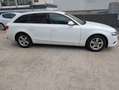 Audi A4 Avant Ambiente Steuerkette neu Blanc - thumbnail 4