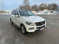 Mercedes-Benz ML 350 ML 350 CDI Blue Tec,Standheizung,Panorama,Scheckh. Blanc - thumbnail 2