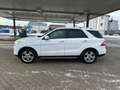 Mercedes-Benz ML 350 ML 350 CDI Blue Tec,Standheizung,Panorama,Scheckh. Blanc - thumbnail 5