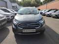 Ford EcoSport 1,0 Klimaaut/Navi/PDC+Cam/Leder/Alu Grau - thumbnail 2