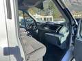 Ford Transit 350 L3 Einzelkabine Grau - thumbnail 9