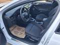 Ford Focus 1,0 EcoBoost Hybrid ST-Line X Aut. Weiß - thumbnail 14