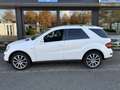 Mercedes-Benz ML 300 M-klasse CDI BlueEFF. Bianco - thumbnail 3