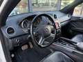 Mercedes-Benz ML 300 M-klasse CDI BlueEFF. Bianco - thumbnail 8