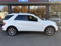 Mercedes-Benz ML 300 M-klasse CDI BlueEFF. Bianco - thumbnail 5