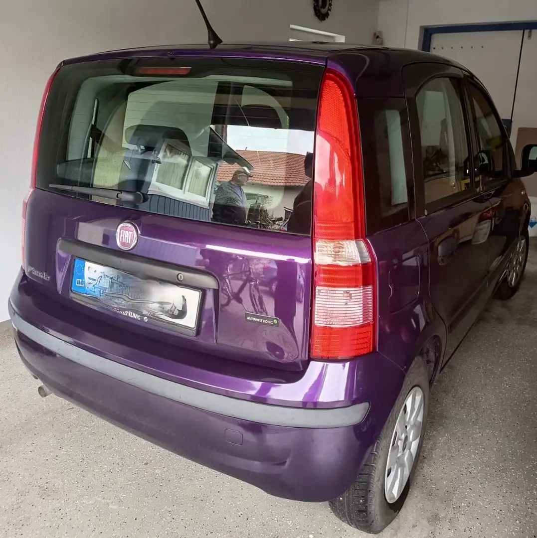 Fiat Panda Panda 1.2 Dynamic Violett - 2