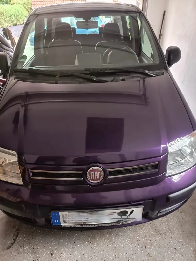 Fiat Panda Panda 1.2 Dynamic Violett - 1