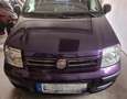 Fiat Panda Panda 1.2 Dynamic Violett - thumbnail 3