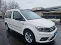 Volkswagen Caddy 2.0TDI 4Motion Edition35-Top Zustand-Service neu! Weiß - thumbnail 3