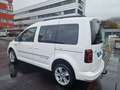 Volkswagen Caddy 2.0TDI 4Motion Edition35-Top Zustand-Service neu! Weiß - thumbnail 6