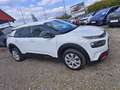 Citroen C4 Cactus PureTech 110 Manuell Feel Weiß - thumbnail 6