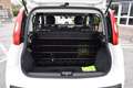 Fiat Panda N1 1.2 Easy Van Autocarro 4 posti 69CV Blanc - thumbnail 11