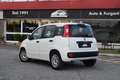 Fiat Panda N1 1.2 Easy Van Autocarro 4 posti 69CV Blanc - thumbnail 3