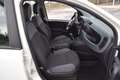 Fiat Panda N1 1.2 Easy Van Autocarro 4 posti 69CV Blanc - thumbnail 9