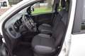 Fiat Panda N1 1.2 Easy Van Autocarro 4 posti 69CV Blanc - thumbnail 8