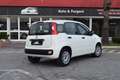 Fiat Panda N1 1.2 Easy Van Autocarro 4 posti 69CV Blanc - thumbnail 4
