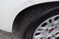 Fiat Panda N1 1.2 Easy Van Autocarro 4 posti 69CV Blanc - thumbnail 12