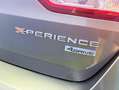 SEAT Leon X-PERIENCE Marrón - thumbnail 13
