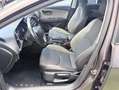 SEAT Leon X-PERIENCE Marrón - thumbnail 9