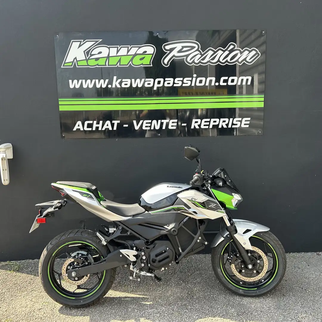 Kawasaki Gris - 2