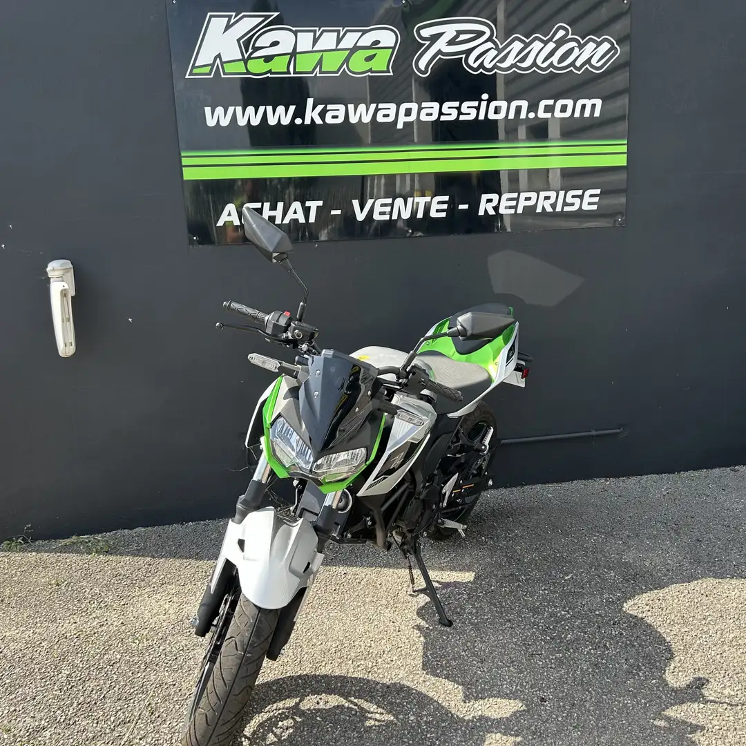 Kawasaki Gris - 1