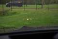 BMW X5 xDrive50e Launch Edition M-Sport , Adap. Cruise, P Zwart - thumbnail 12