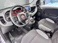 Fiat Panda Panda 1.0 firefly hybrid City Life s Grijs - thumbnail 15