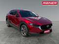 Mazda CX-30 X186 GT+ Rot - thumbnail 7