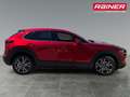Mazda CX-30 X186 GT+ Rot - thumbnail 3