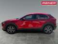 Mazda CX-30 X186 GT+ Rot - thumbnail 2