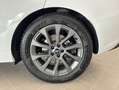 Land Rover Range Rover Sport 3ª serie 3.0D l6 300CV Dyn. SE - thumbnail 3
