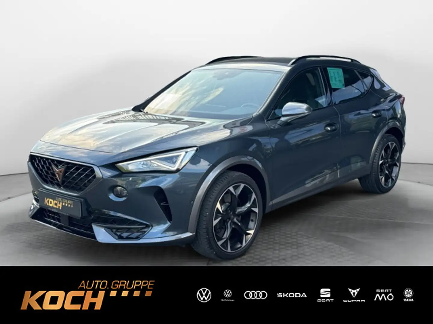 CUPRA Formentor VZ 2.0 TSI 4Drive ACC*PDC*RFK*SHZ*Full Grau - 1