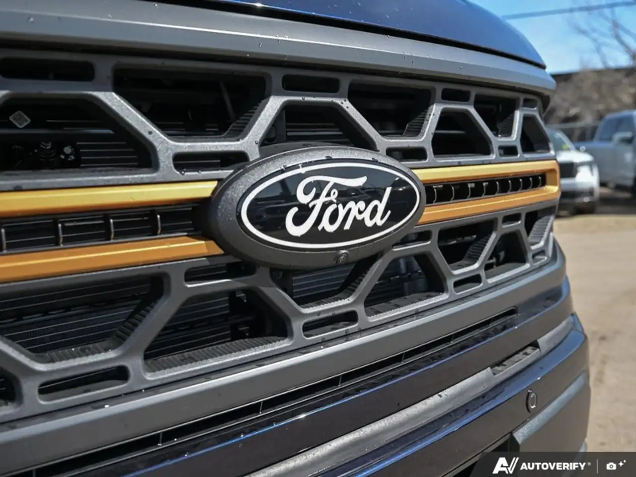 Ford F 150 fotografie Ford F 150