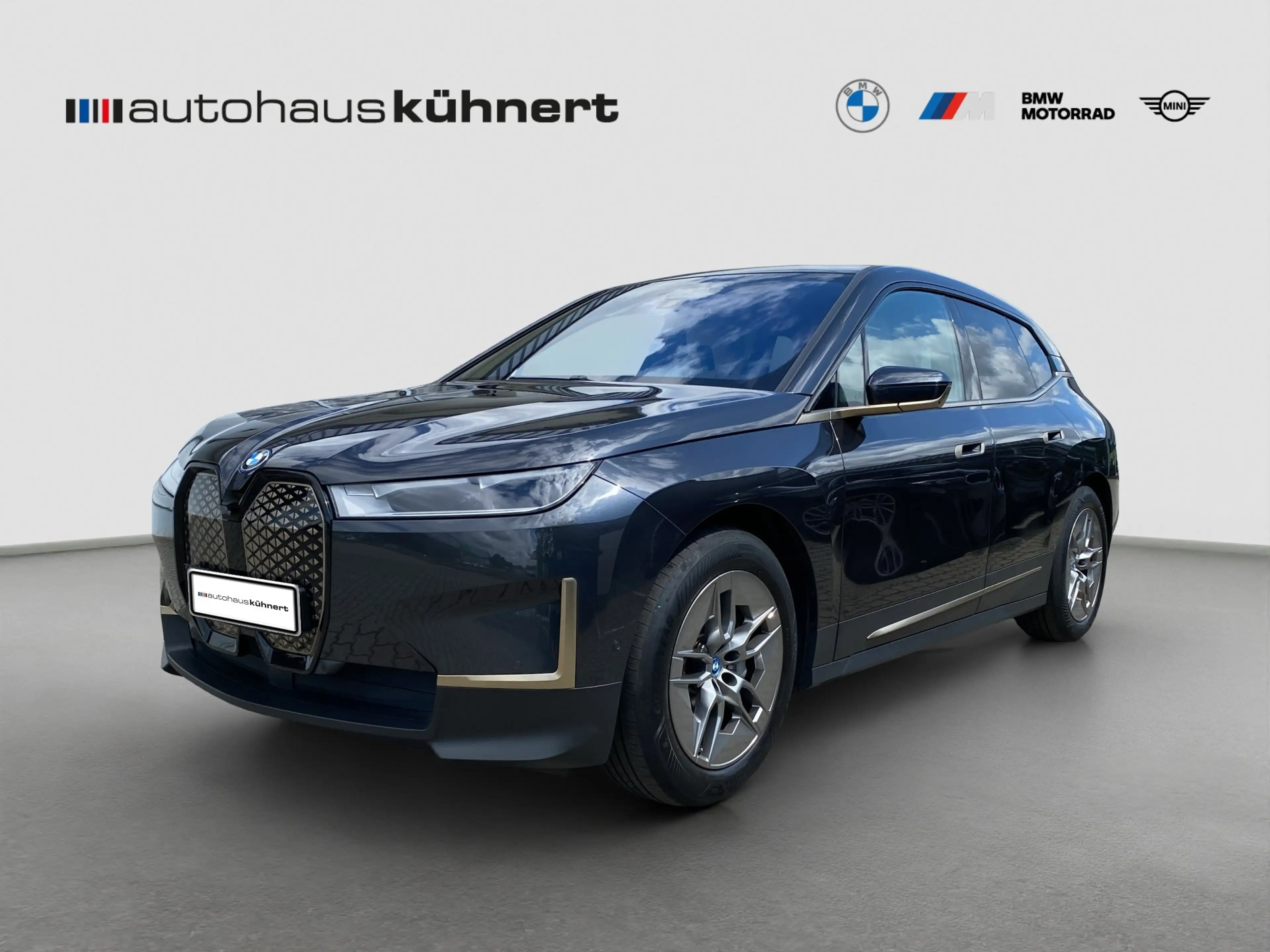 BMW iX xDrive40 LED ACC SpurAss StHzg 360° H&K Navi — photo 2
