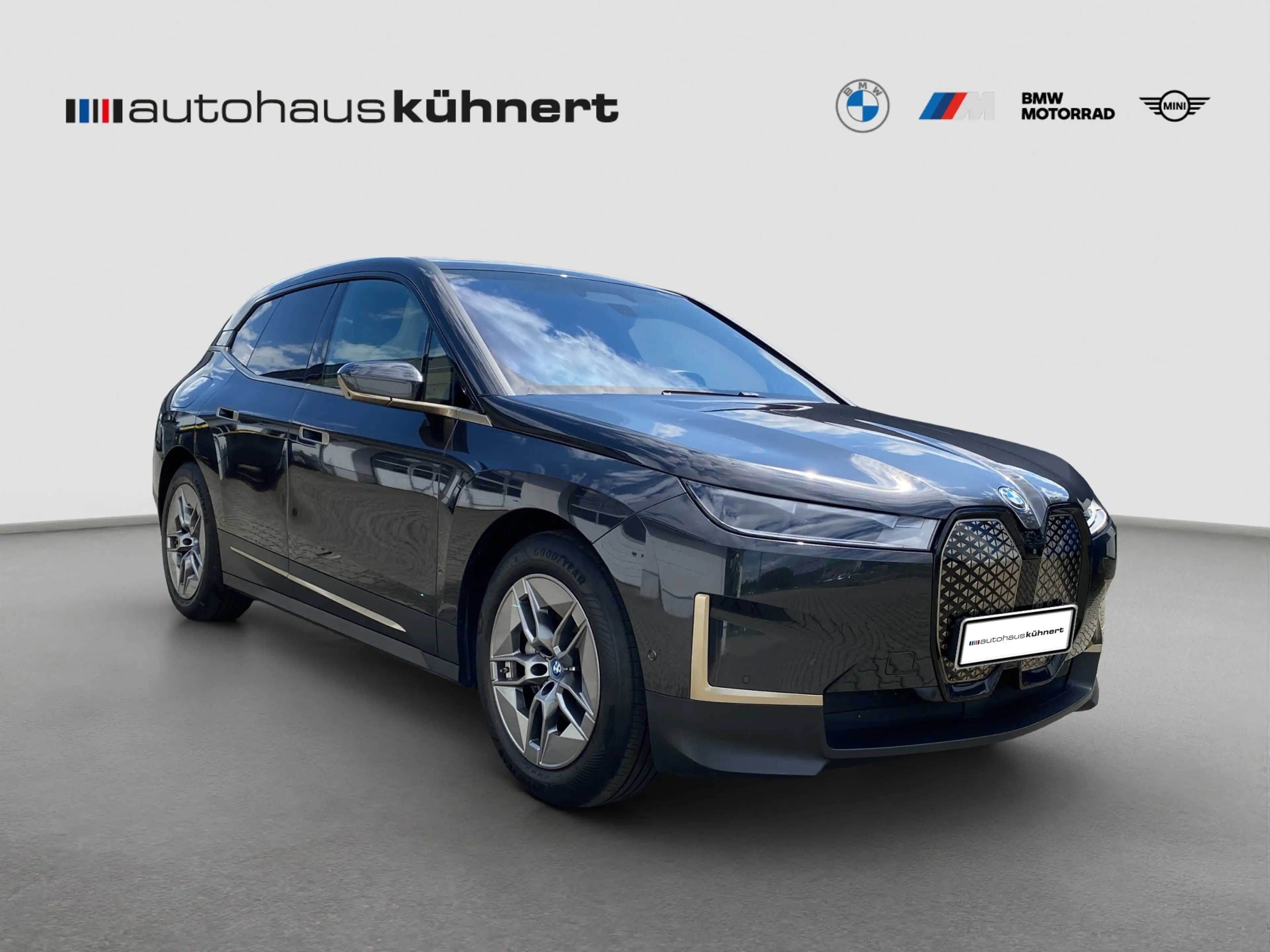 BMW iX xDrive40 LED ACC SpurAss StHzg 360° H&K Navi — photo 9