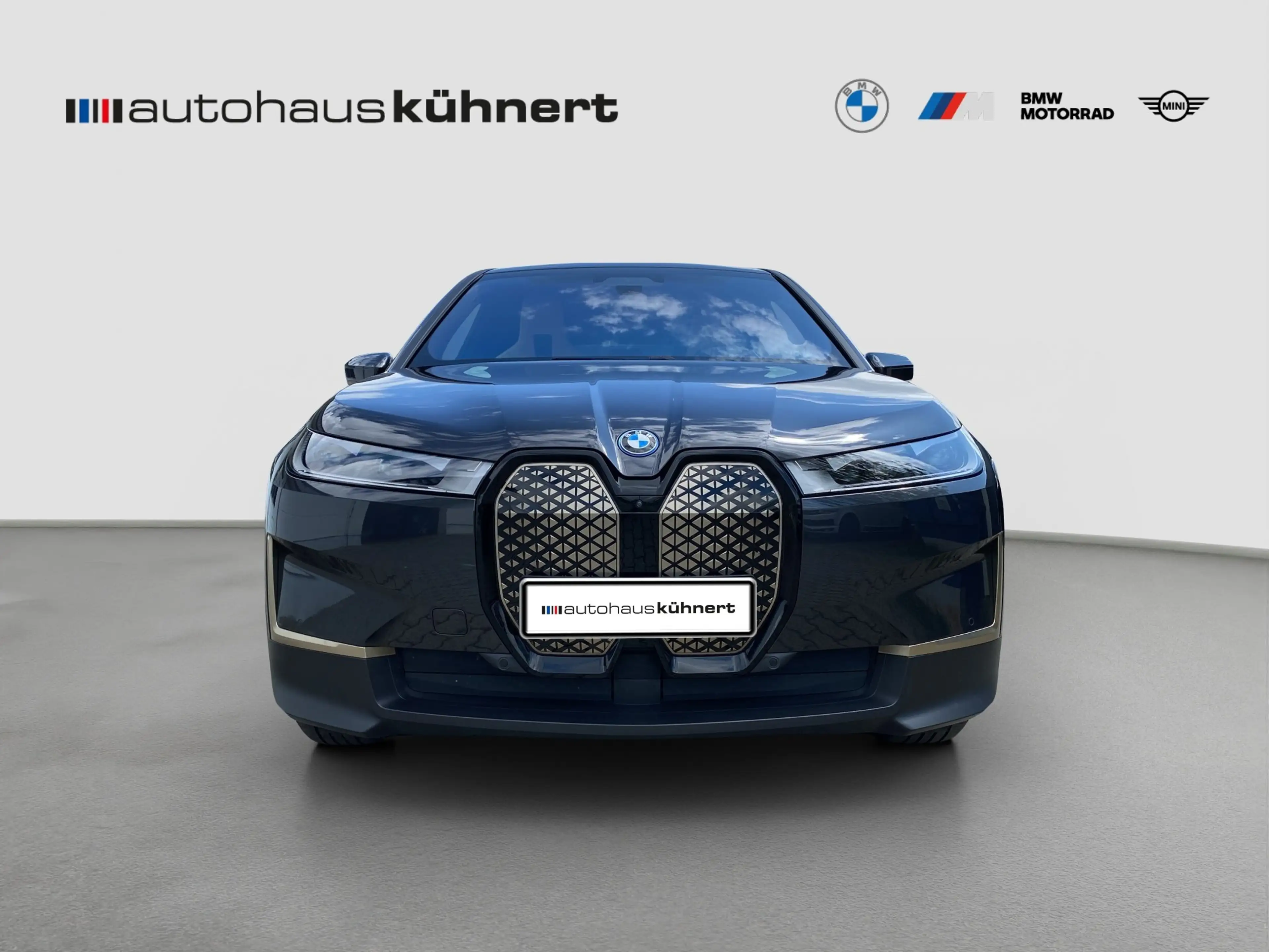 BMW iX xDrive40 LED ACC SpurAss StHzg 360° H&K Navi — photo 3