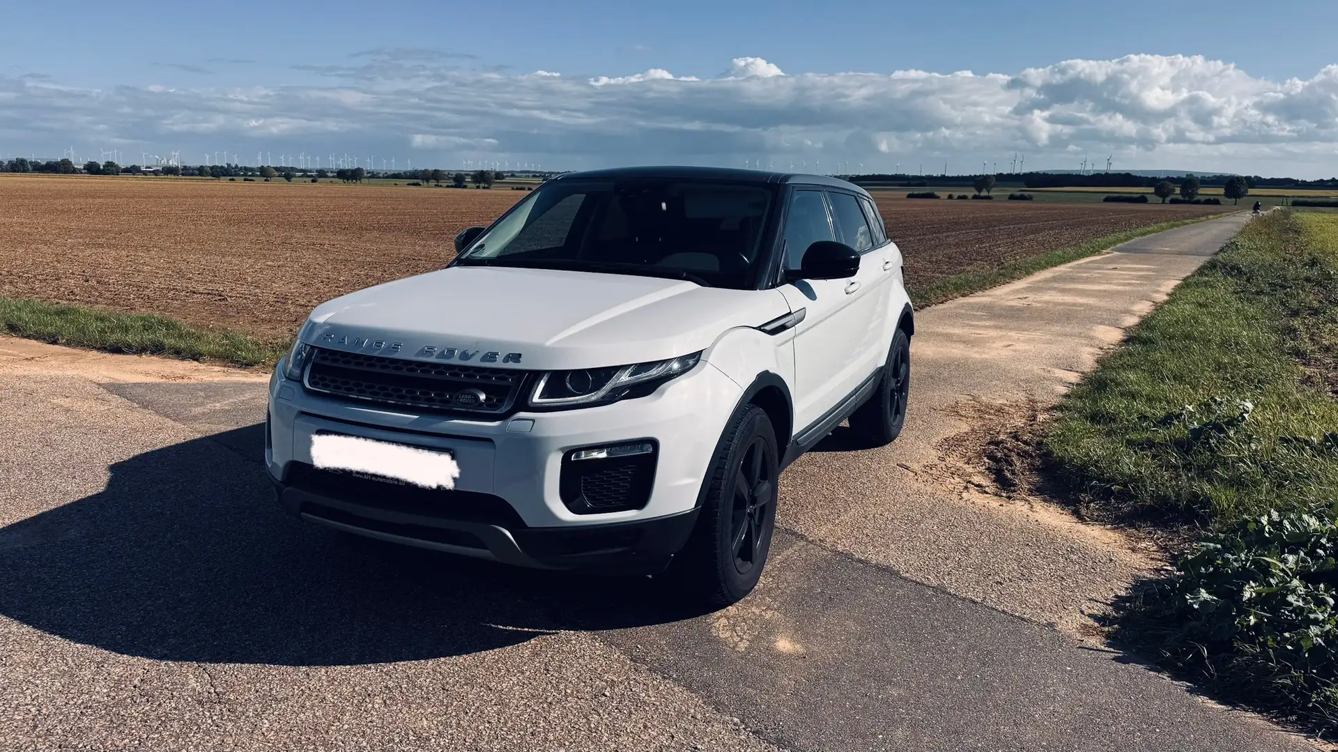 Land Rover Range Rover Evoque Range Rover Evoque TD4 Aut. SkyView Edition Weiß - 1