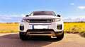 Land Rover Range Rover Evoque Range Rover Evoque TD4 Aut. SkyView Edition Weiß - thumbnail 5